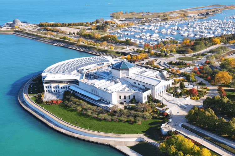 aerial view of the shedd aquarium